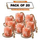 Pink salt block illustration labelled Pack of 20