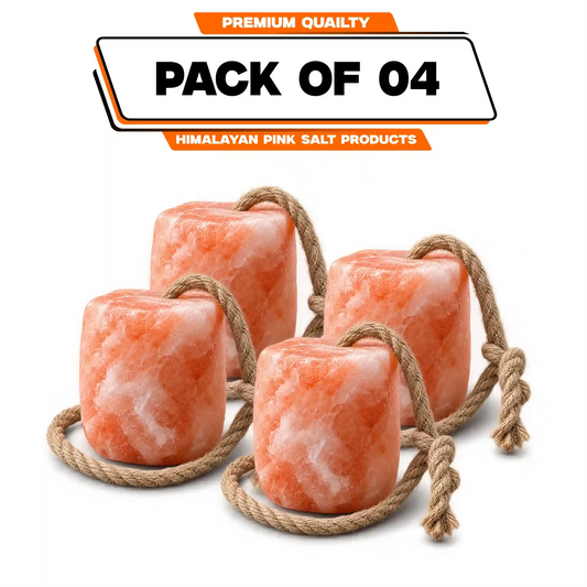 Pink salt block illustration labelled Pack of 4