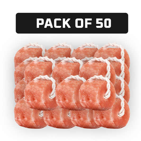 Animal salt lick blocks