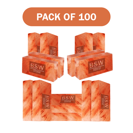 Himalayan salt bricks 100