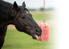 Himalayan Animal Salt Lick Blocks For Horses 4 lbs - Pack 4 Build Salt Wall