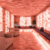 Himalayan Pink Salt Bricks 8" x 4" x 2" - Pack of 150 With 4 Free Salt Adhesive