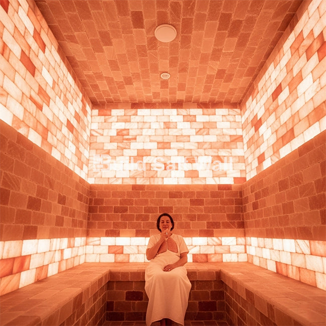 Build Salt Wall